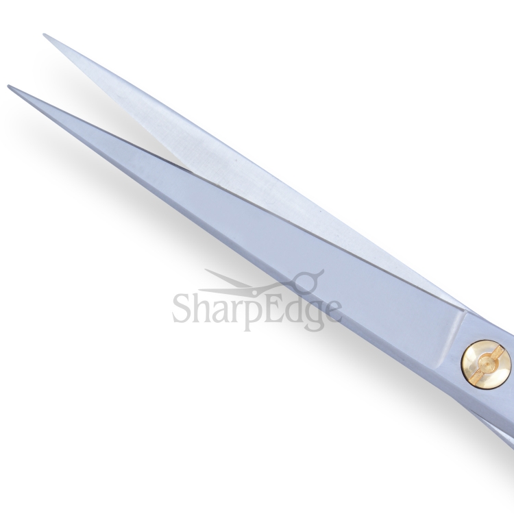 Professional Hair Dressing Scissors 