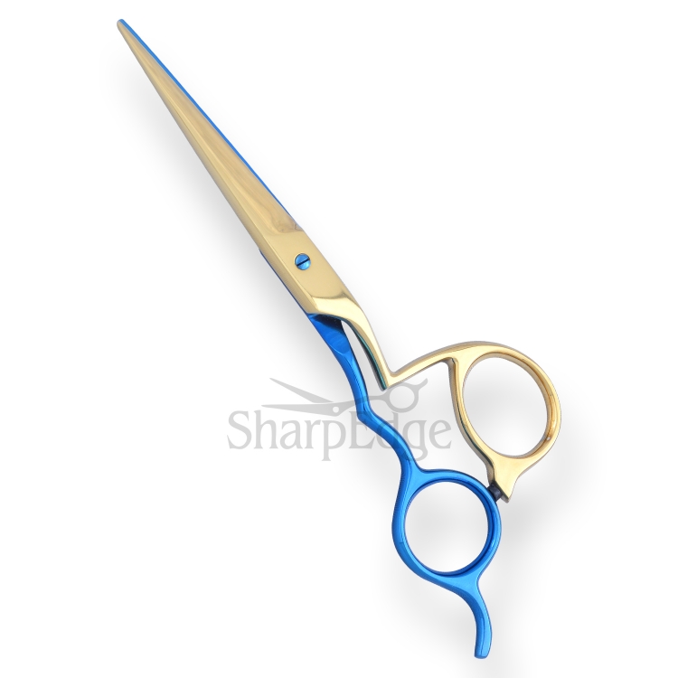 Professional Hair Dressing Scissors 